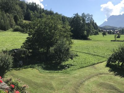 Blick ins Grüne