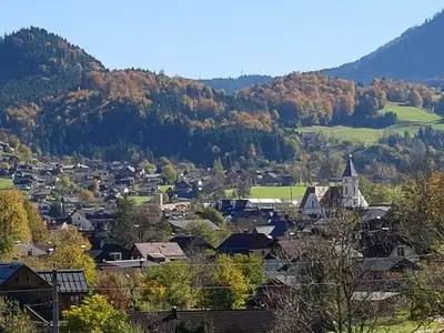 Ferienwohnung für 4 Personen (64 m²) in Bad Goisern 4/10