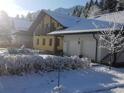 Ferienwohnung für 4 Personen (64 m²) in Bad Goisern 6/10