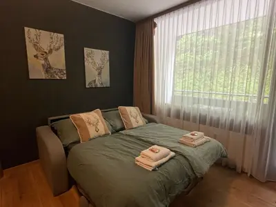 Ferienwohnung für 4 Personen (38 m²) in Bad Goisern 3/10