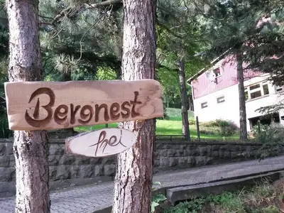 Ferienwohnung für 3 Personen (75 m²) in Bad Gottleuba 2/10