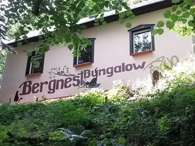 Ferienwohnung für 3 Personen (75 m²) in Bad Gottleuba 3/10