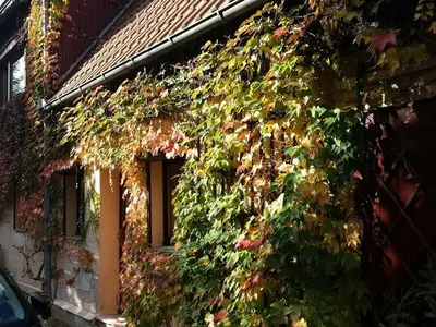 Ferienwohnung für 3 Personen (75 m²) in Bad Gottleuba 6/10