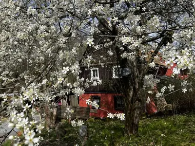 Ferienwohnung für 4 Personen (70 m²) in Bad Gottleuba-Berggießhübel 4/10