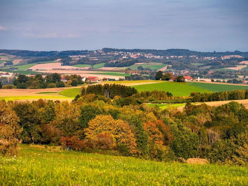 23101151-Ferienwohnung-2-Bad Griesbach im Rottal-800x600-0