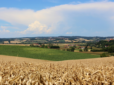 Ausblick von Stapfen