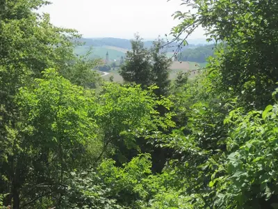 Ausblick