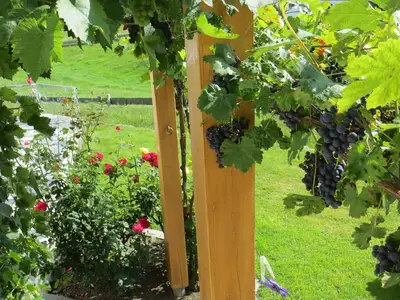 Garten.jpg