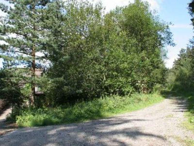 Ferienwohnung für 3 Personen (50 m²) in Bad Grund 5/10