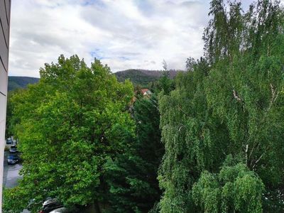 Ferienwohnung für 4 Personen (62 m²) in Bad Harzburg 1/10