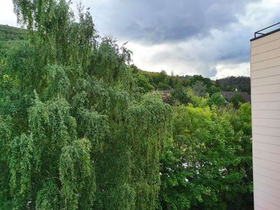 Ferienwohnung für 4 Personen (62 m²) in Bad Harzburg 2/10