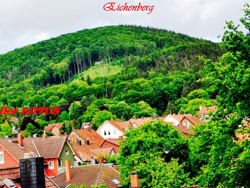 18583127-Ferienwohnung-6-Bad Harzburg-800x600-2