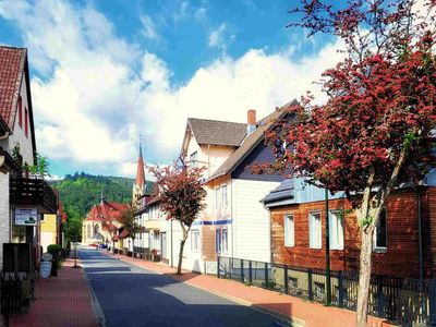 Ferienwohnung für 8 Personen (95 m²) in Bad Harzburg 2/10