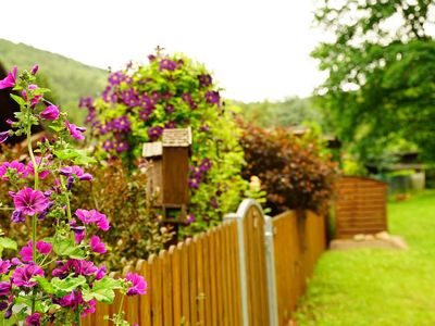 Garten. Eingangsbereich in den Vorgarten