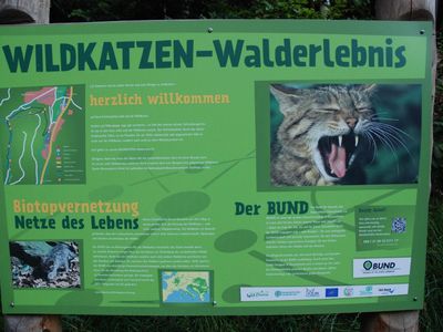 Luchsgehege und Wildkatzenpfad um Bad Harzburg