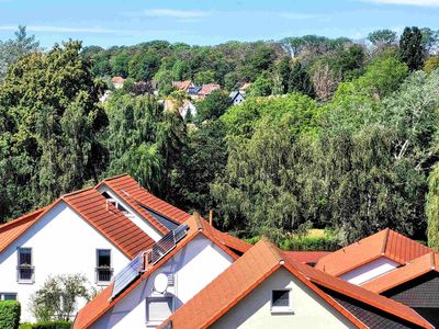 Ferienwohnung für 4 Personen (42 m²) in Bad Harzburg 7/10