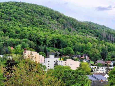 Ferienwohnung für 2 Personen (32 m²) in Bad Harzburg 10/10