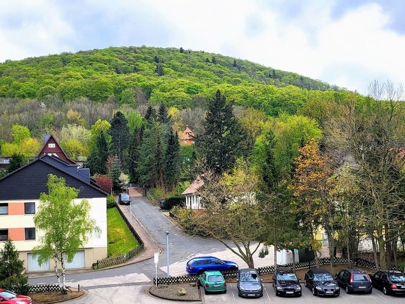 18583130-Ferienwohnung-4-Bad Harzburg-800x600-2