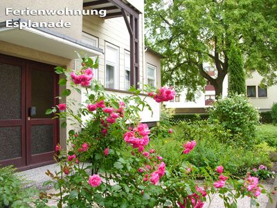 Ferienwohnung für 2 Personen (65 m²) in Bad Harzburg 2/6