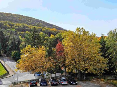 Ferienwohnung für 4 Personen (60 m²) in Bad Harzburg 5/10