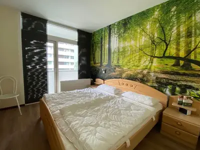 Ferienwohnung für 2 Personen (52 m²) in Bad Harzburg 9/10