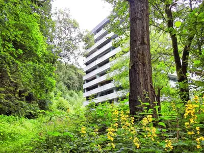 Ferienwohnung für 2 Personen (52 m²) in Bad Harzburg 4/10