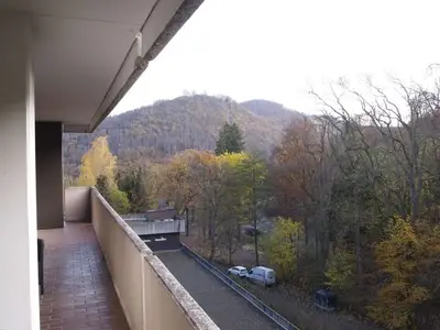 Ferienwohnung für 4 Personen (83 m²) in Bad Harzburg 1/10