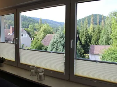 Ferienwohnung für 8 Personen (100 m²) in Bad Harzburg 6/10