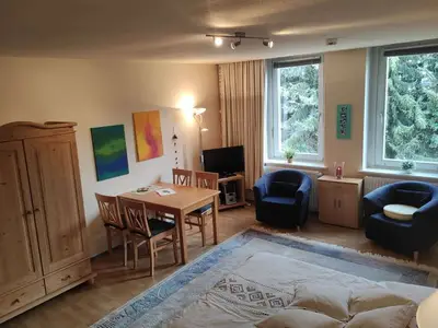 Ferienwohnung für 2 Personen (36 m²) in Bad Harzburg 5/10