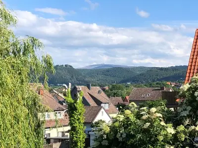 Ferienwohnung für 4 Personen (68 m²) in Bad Harzburg 2/10