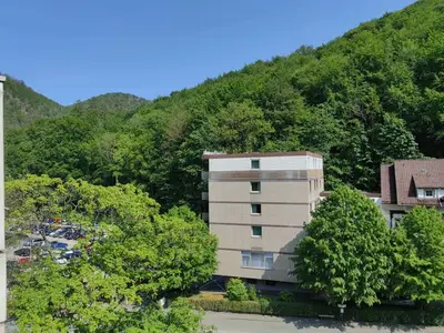 Ferienwohnung für 4 Personen (61 m²) in Bad Harzburg 4/10