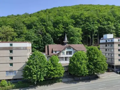 Ferienwohnung für 4 Personen (61 m²) in Bad Harzburg 5/10