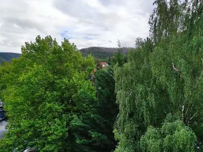 Ferienwohnung für 4 Personen (62 m²) in Bad Harzburg 1/10