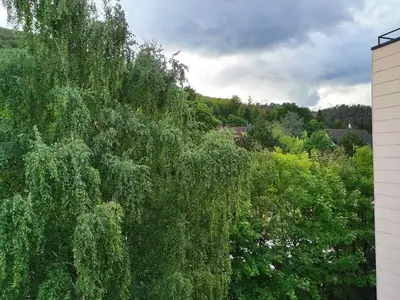 Ferienwohnung für 4 Personen (62 m²) in Bad Harzburg 2/10