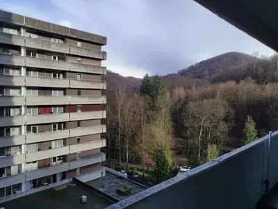 Ferienwohnung für 4 Personen (52 m²) in Bad Harzburg 1/10