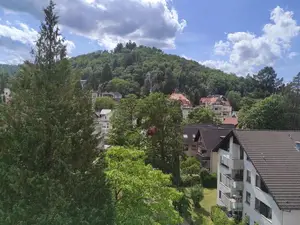 Ferienwohnung für 4 Personen (62 m²) in Bad Harzburg