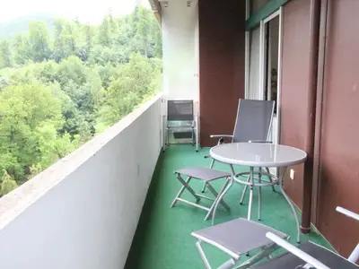 Ferienwohnung für 3 Personen (53 m²) in Bad Harzburg 3/10