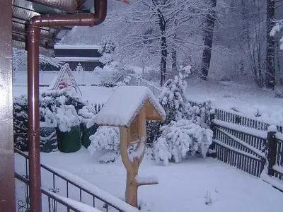 Ferienwohnung für 4 Personen (84 m²) in Bad Harzburg 8/10