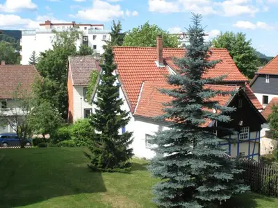 Ferienwohnung für 3 Personen (59 m²) in Bad Harzburg 2/9