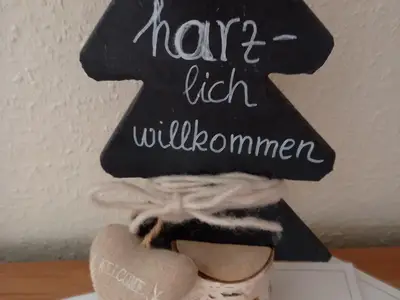 Ferienwohnung für 3 Personen (60 m²) in Bad Harzburg 3/10