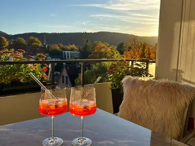 Blick von einem der Balkons in die Harzer Berge