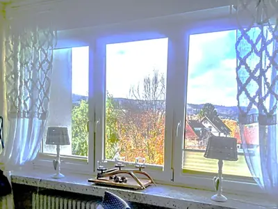 Ferienwohnung für 3 Personen (60 m²) in Bad Harzburg 4/10