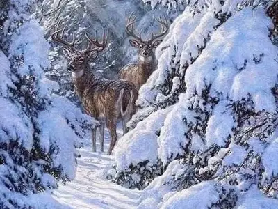 Ferienwohnung für 3 Personen (60 m²) in Bad Harzburg 3/10