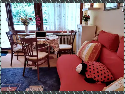 Ferienwohnung für 2 Personen (38 m²) in Bad Harzburg 6/10