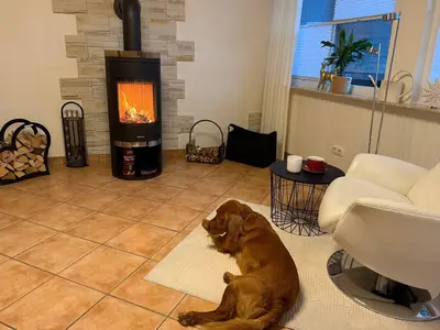 Ferienwohnung für 4 Personen (123 m²) in Bad Harzburg 5/10