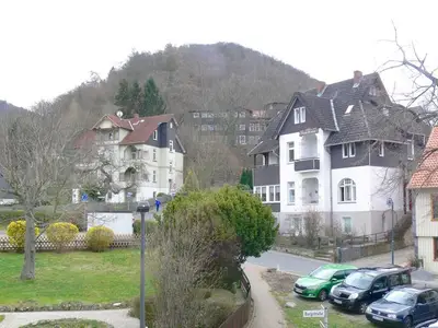 Ferienwohnung für 4 Personen (81 m²) in Bad Harzburg 3/10