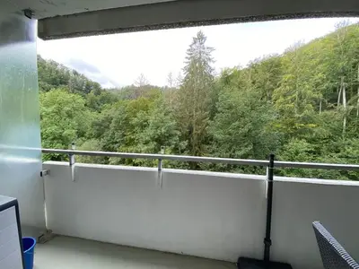 Ferienwohnung für 2 Personen (52 m²) in Bad Harzburg 10/10