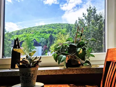 Ferienwohnung für 4 Personen (60 m²) in Bad Harzburg 5/10