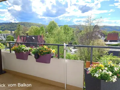 Ferienwohnung für 3 Personen (60 m²) in Bad Harzburg 3/10