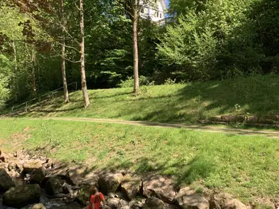 Ferienwohnung für 11 Personen (250 m²) in Bad Herrenalb 9/10